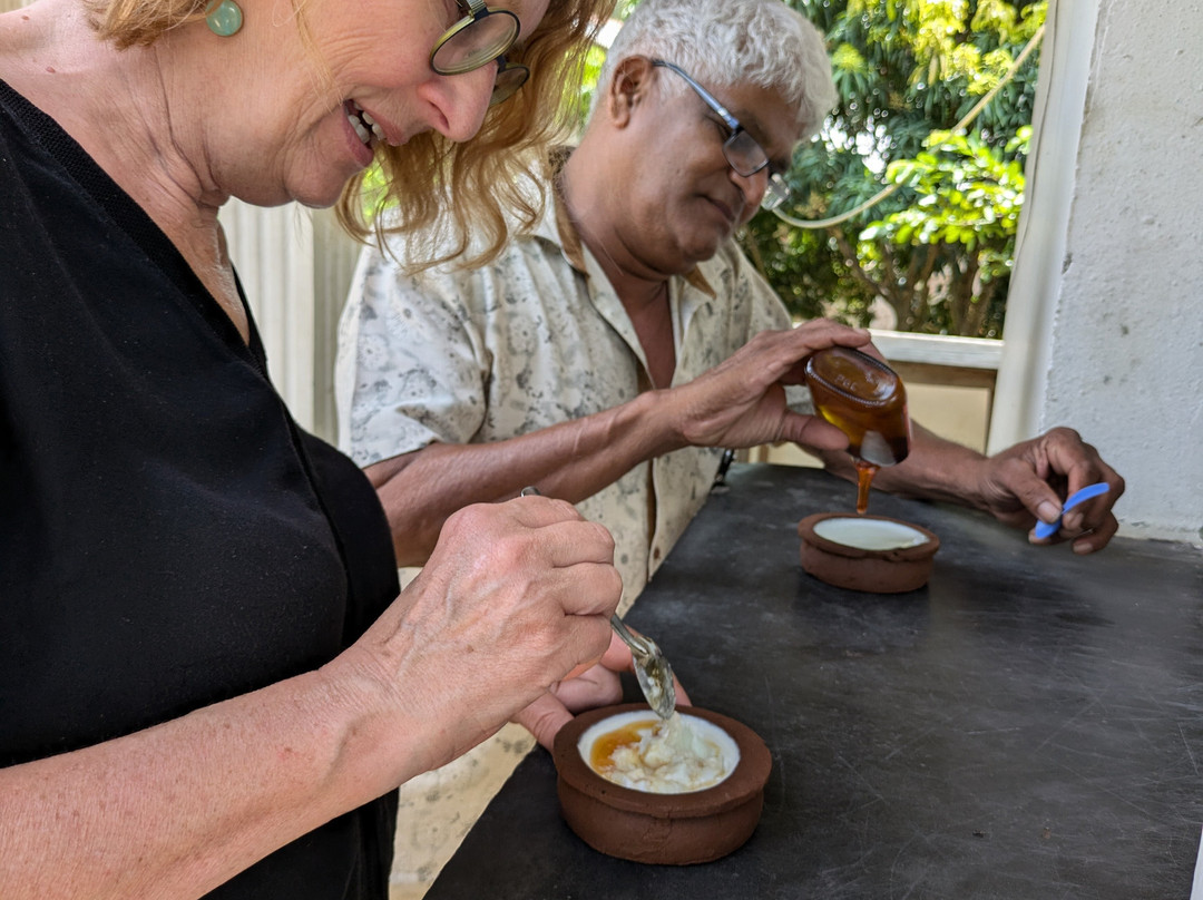 Anuradhapura Taxi-Eppawala必去景点