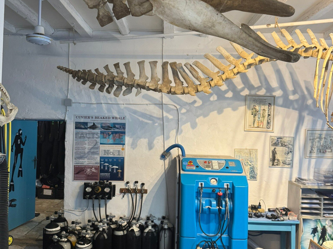 Fiskardo Divers-菲斯卡尔宗必去景点