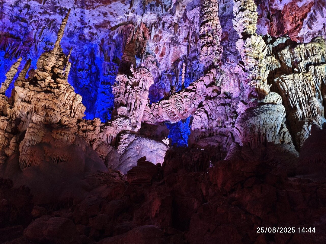 Grotte de la Salamandre-Mejannes-le-Clap必去景点