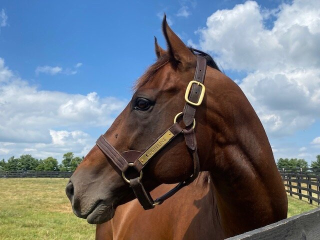 Lane's End-Versailles必去景点