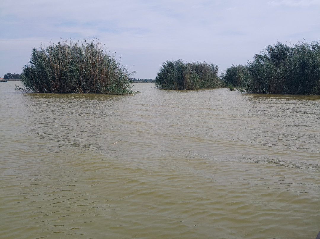 Embarcadero "El Tío Pastilla"-El Palmar必去景点