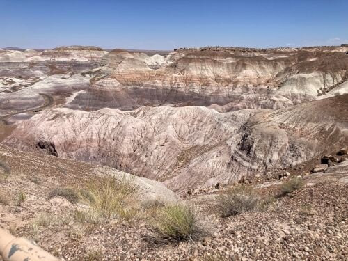 Historic Blue Forest Trail