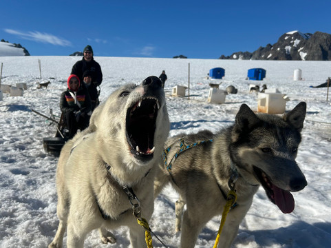 Alaska Helicopter Tours-帕尔默必去景点