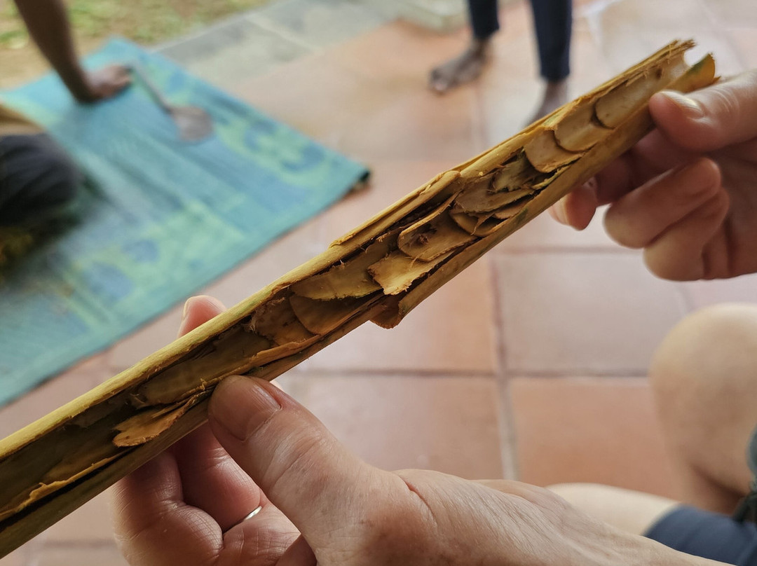 Travel Now Sri Lanka-科伦坡必去景点