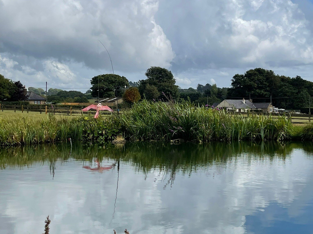 Foxholes Lake-Tansley必去景点
