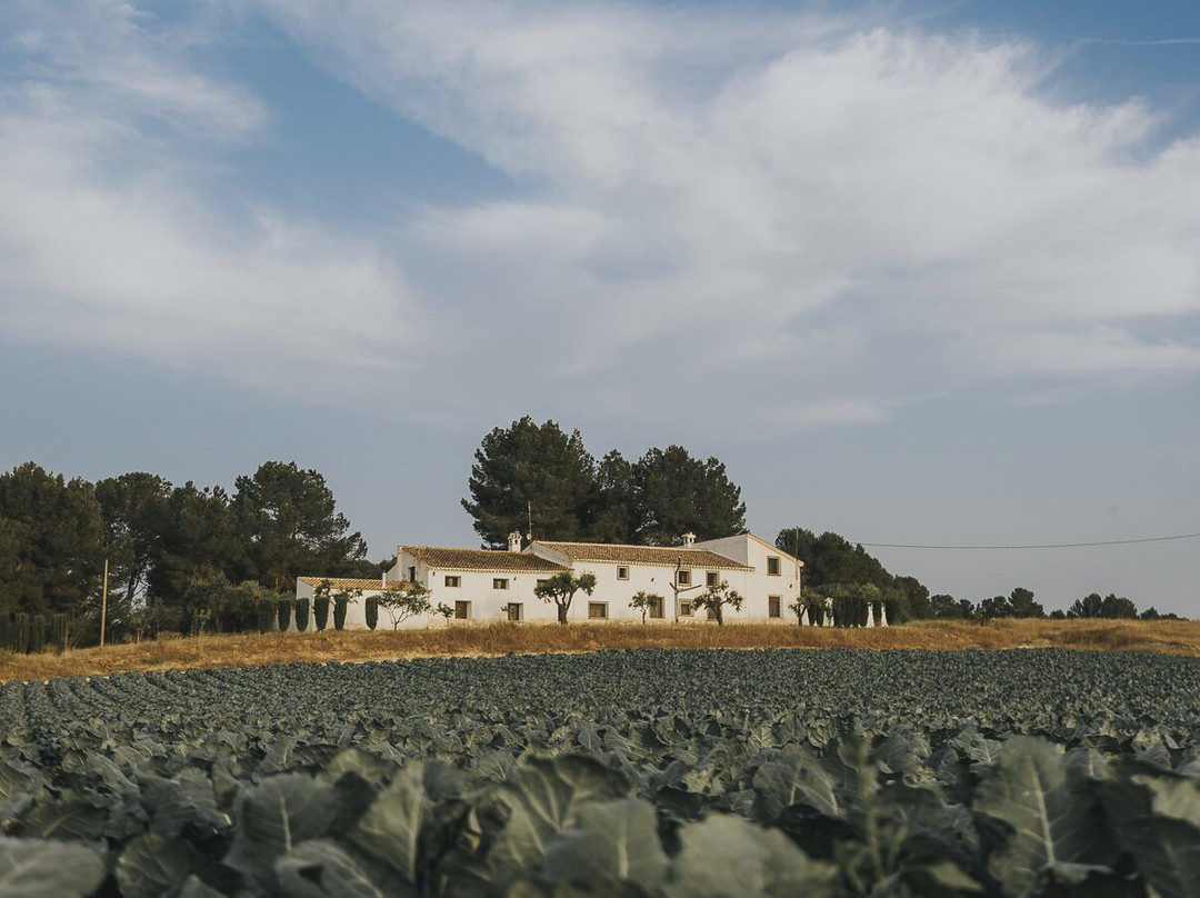 Calasparra酒店住宿-Casa Pedro Barrera
