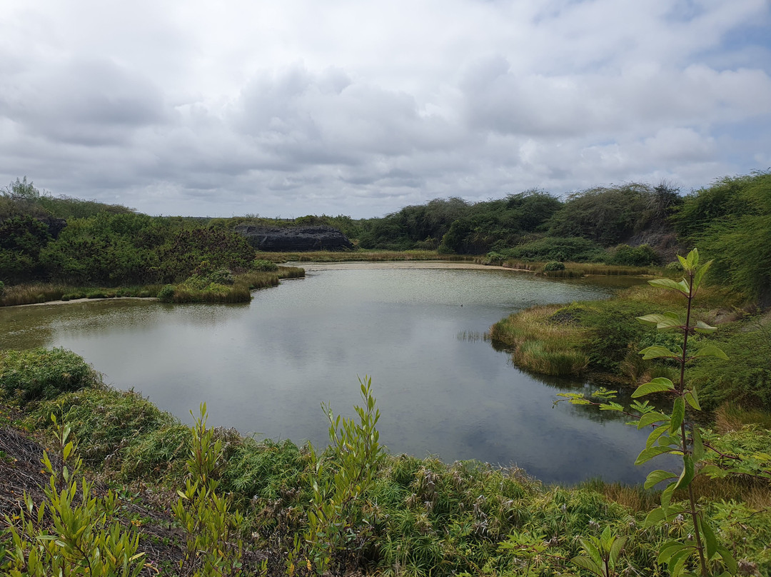Posada de flamengos-维里亚米尔港必去景点
