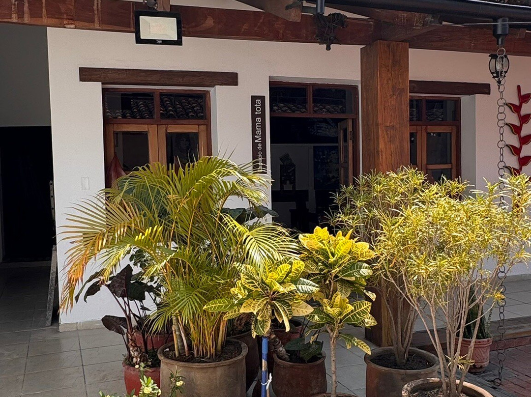 Casa Cultural Melchor Pinto-圣克鲁斯省必去景点