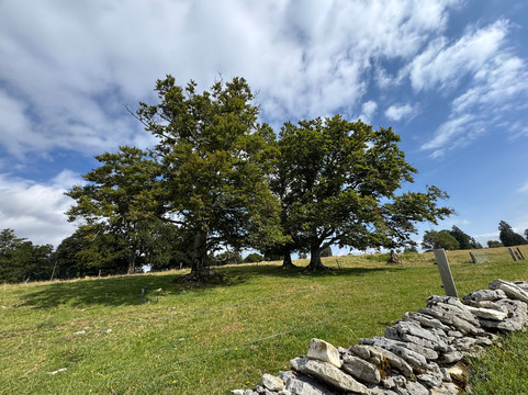 Restaurant Romontberg主图