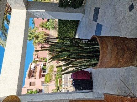 Anais Collection Hotels & Suites主图