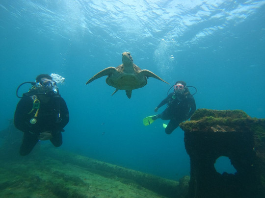 Noronha Total -  Agência de Turismo-费尔南多-迪诺罗尼亚群岛必去景点