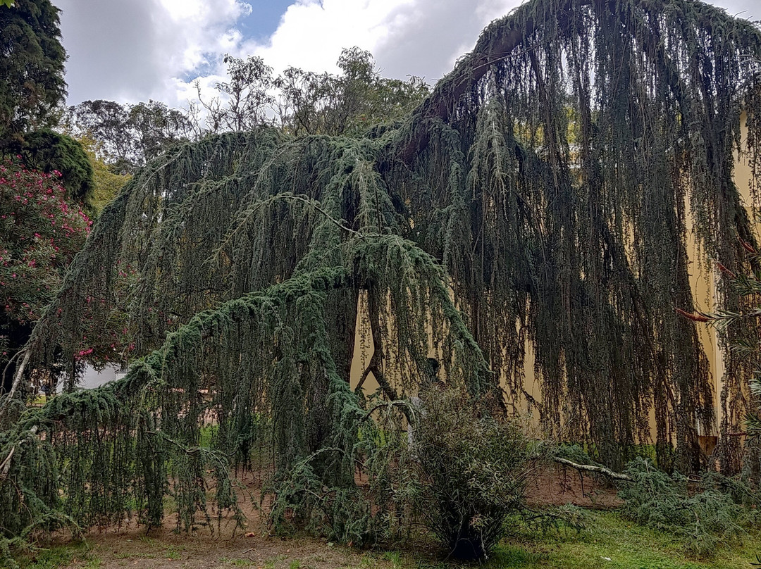 Parque Dom Carlos I-Caldas da Rainha必去景点
