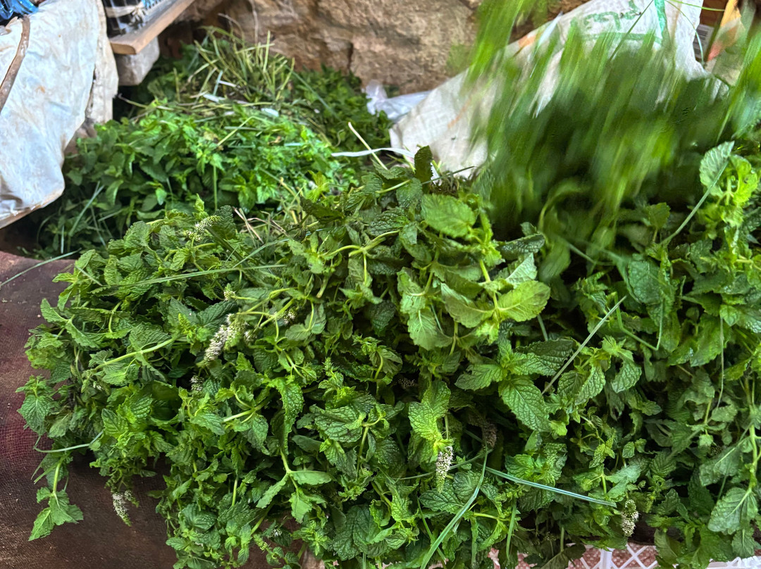 Merzouga Desert Experience-梅如卡必去景点