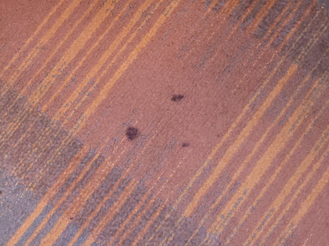 Everspring Inn主图