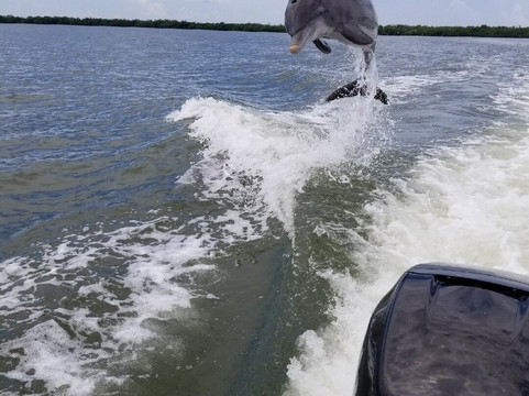 Endless Summer Charters-Sanibel必去景点