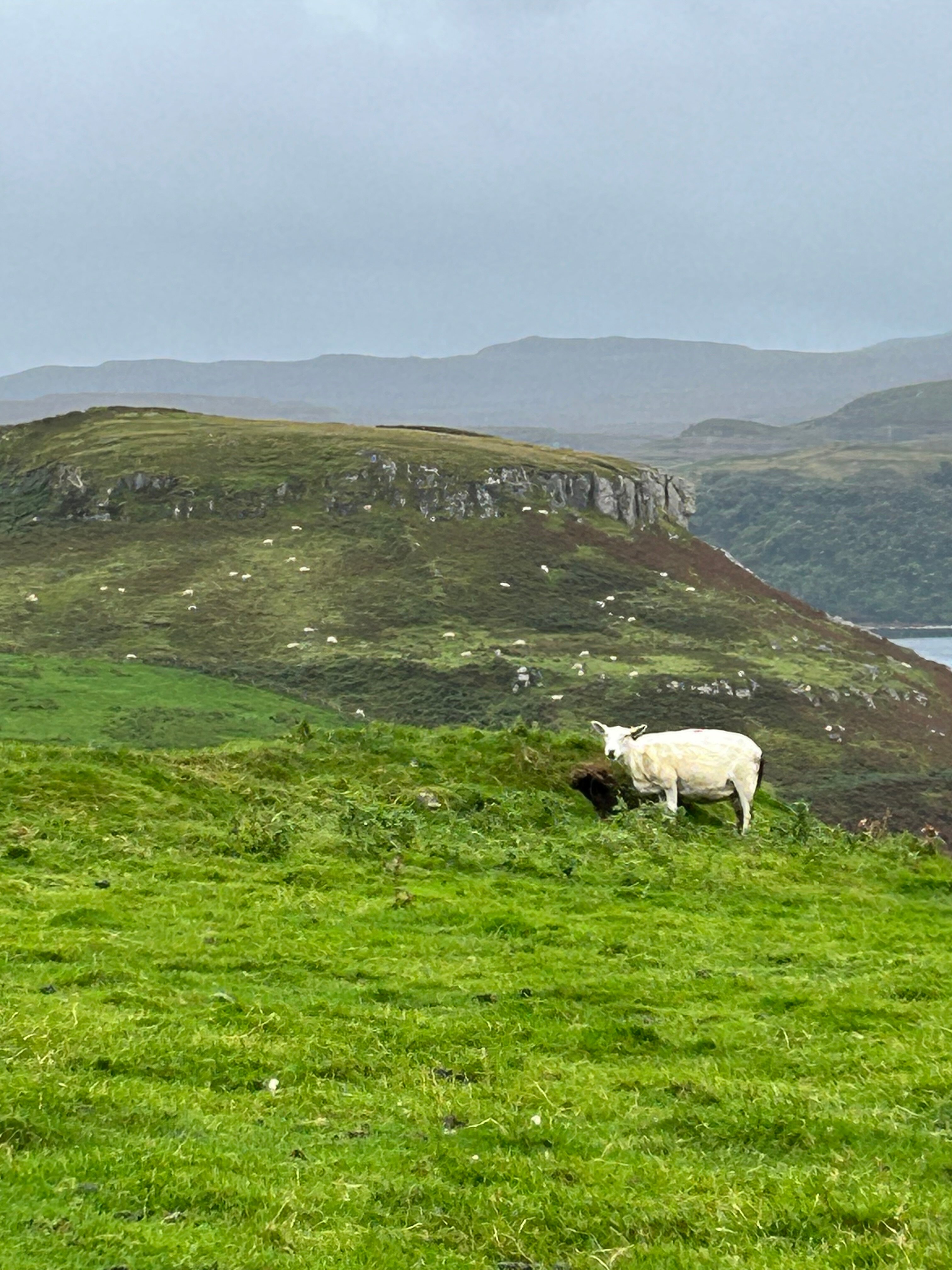 Tullochard House B&b-官方