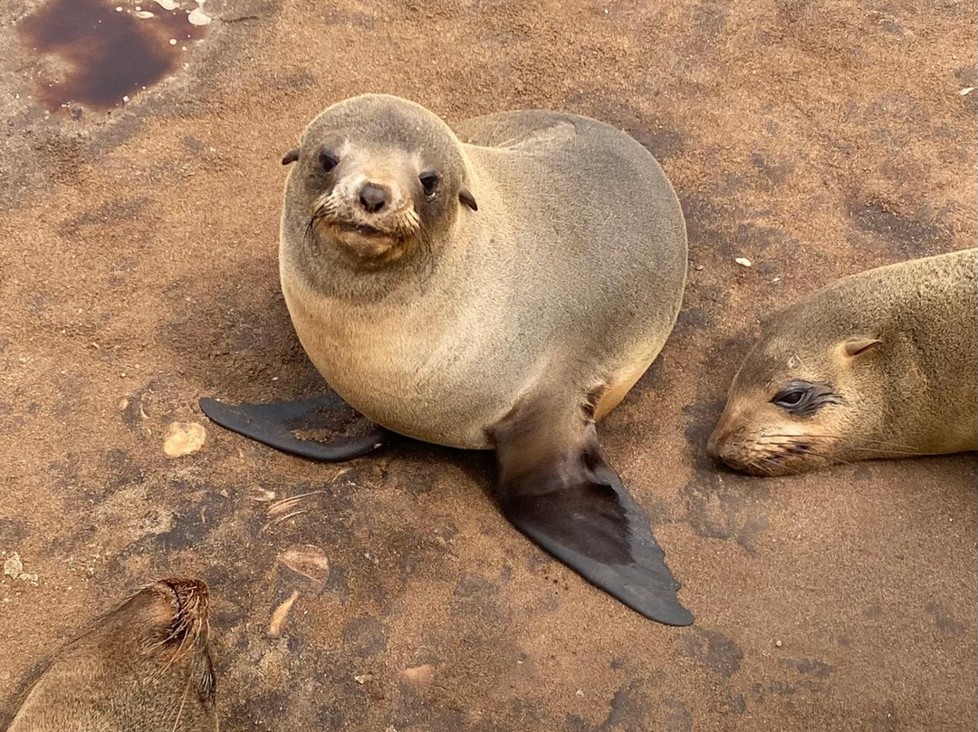 Nature Travel Namibia-温德和克必去景点