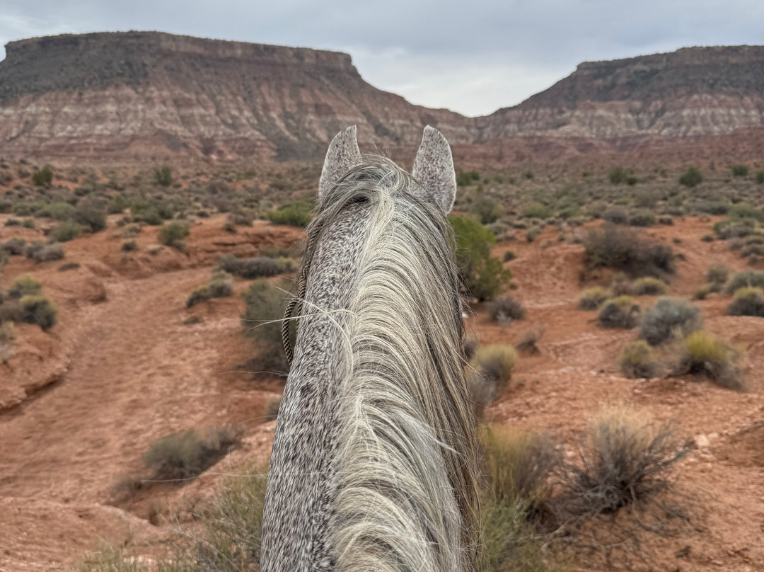 Jacob's Ranch-Virgin必去景点
