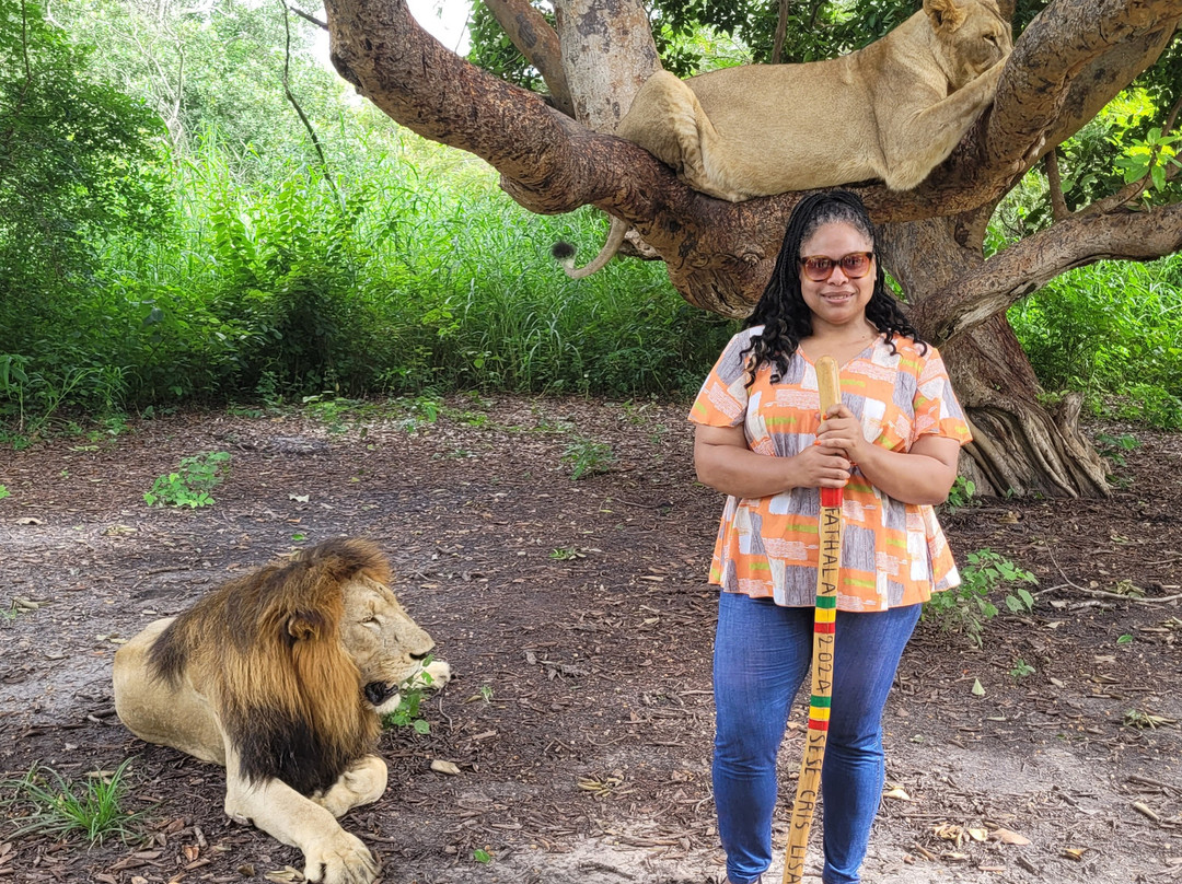 Tour Gambia-Brusubi必去景点