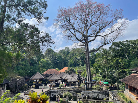 Organize Penida Tour-沙努尔必去景点