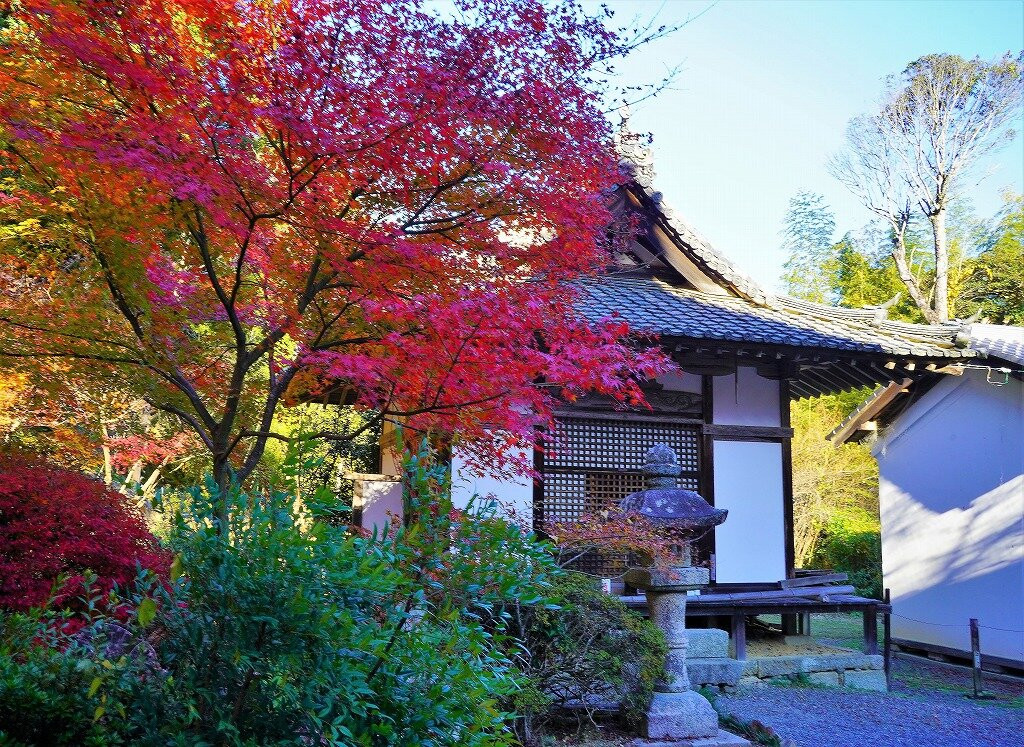 Jorakuji Temple-湖南市必去景点
