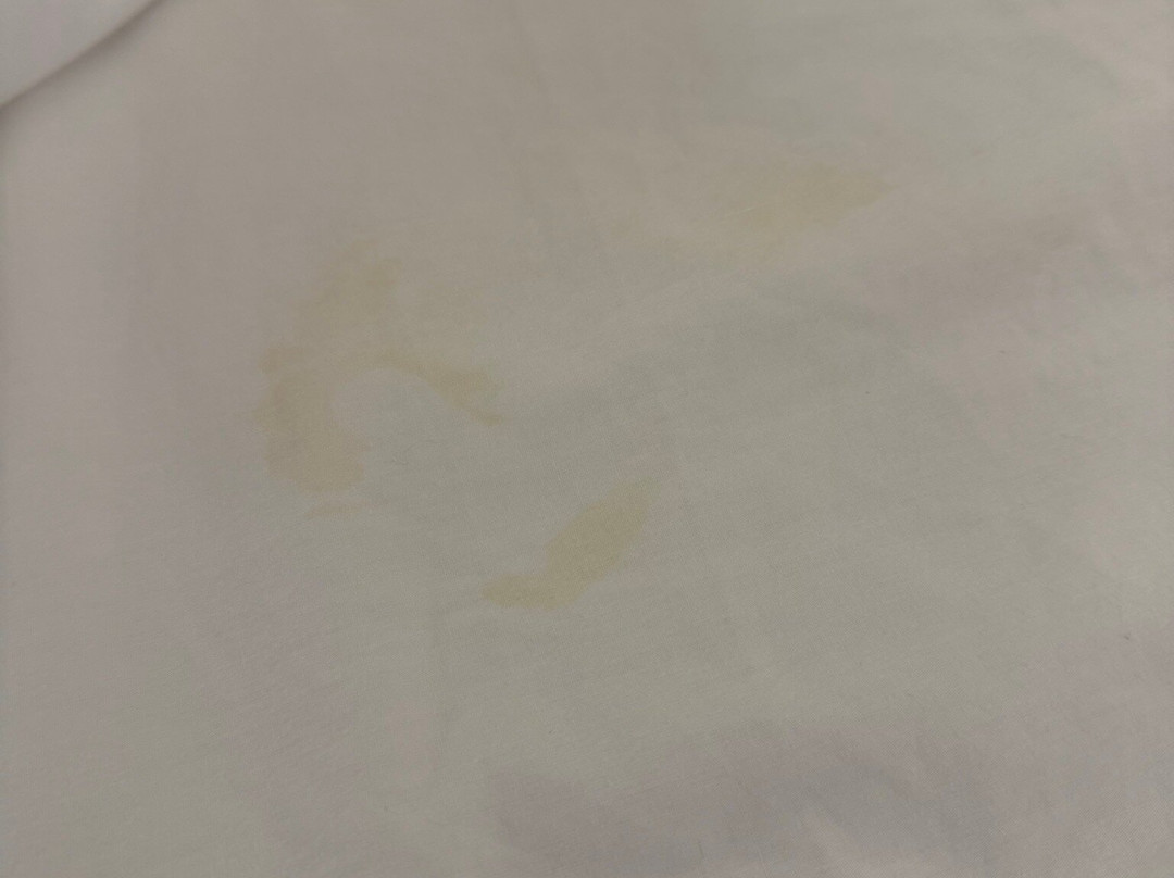 Drury Inn & Suites Gainesville主图