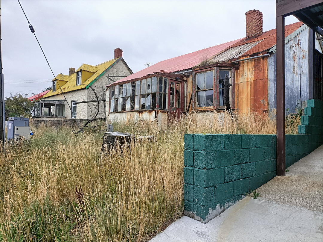 Falklands Outdoors-Stanley必去景点