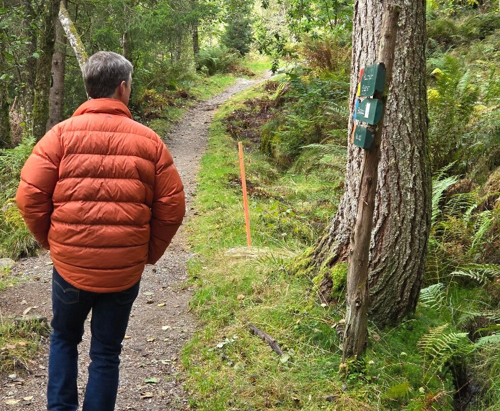 Nature Trail Kreklingen-Balestrand必去景点