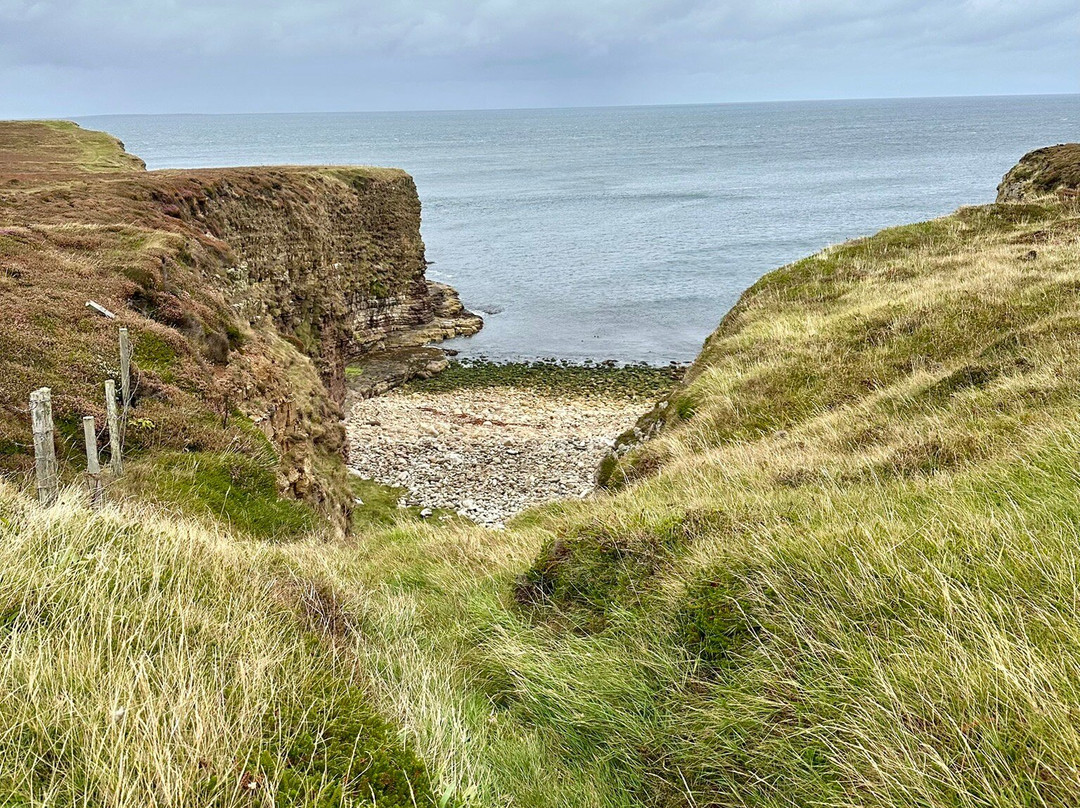 Mull Head Nature Reserve-Deerness必去景点