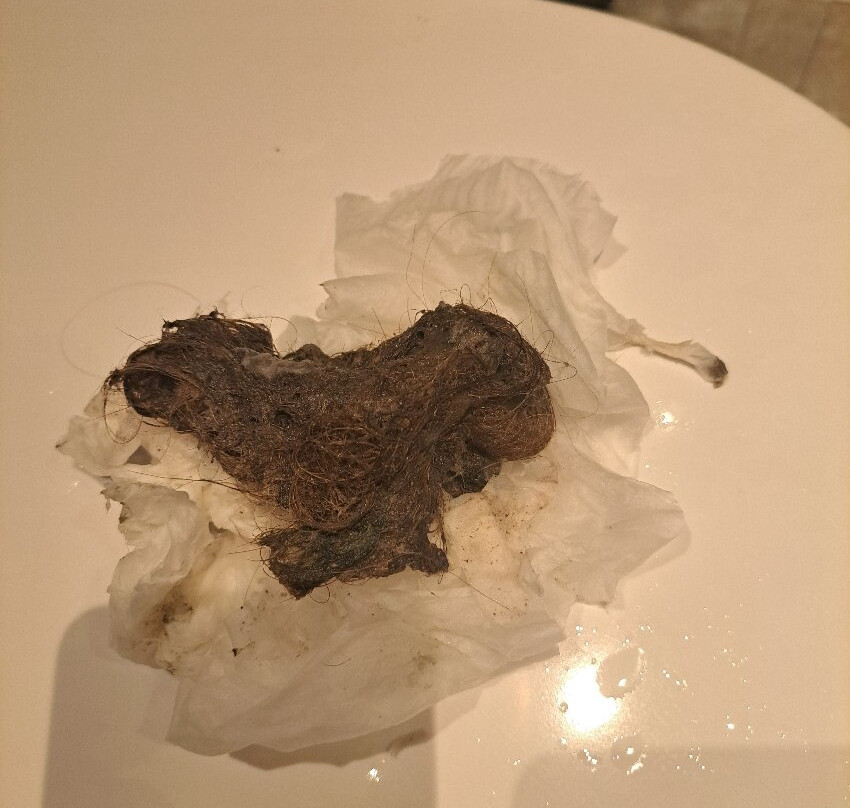 弗里德姆别墅水疗会议酒店主图