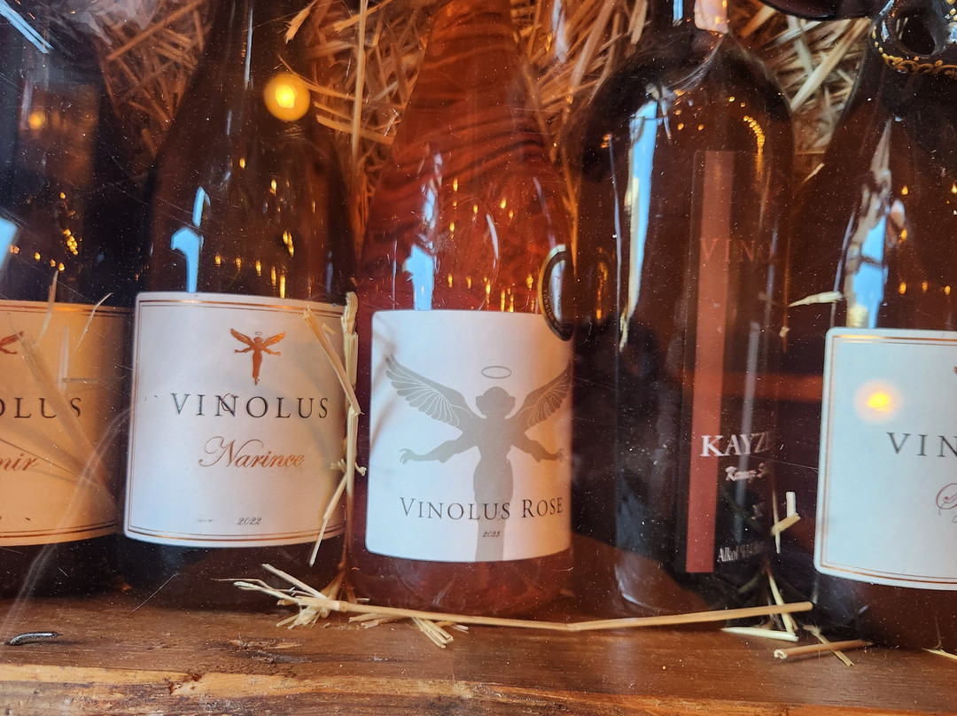 Vinodocia Wine & Art House-乌奇萨必去景点