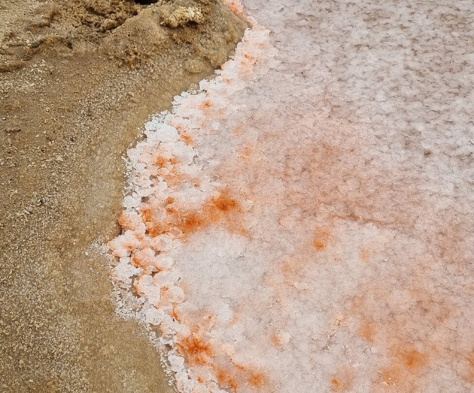 Salinas de los Cocoteros-Teguise必去景点