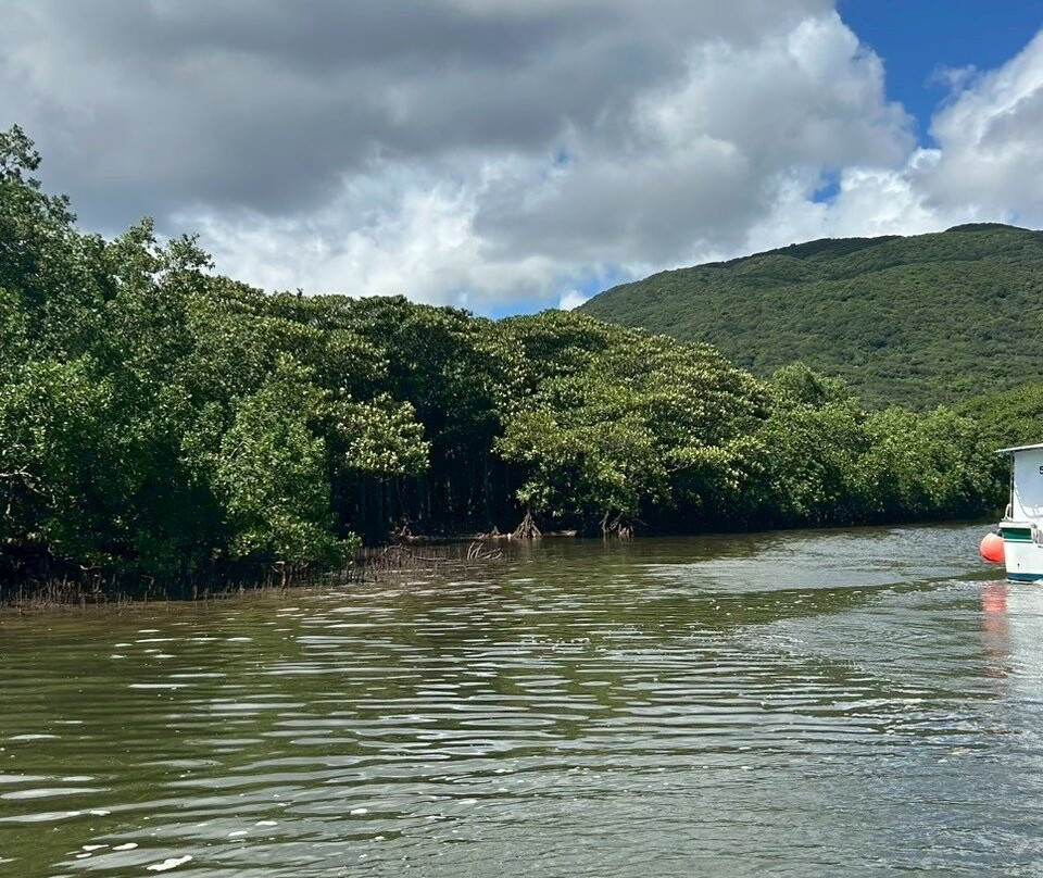 Nakama-river Protected Region-竹富町西表岛必去景点