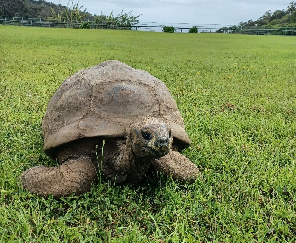 Richards Travel Lodge主图