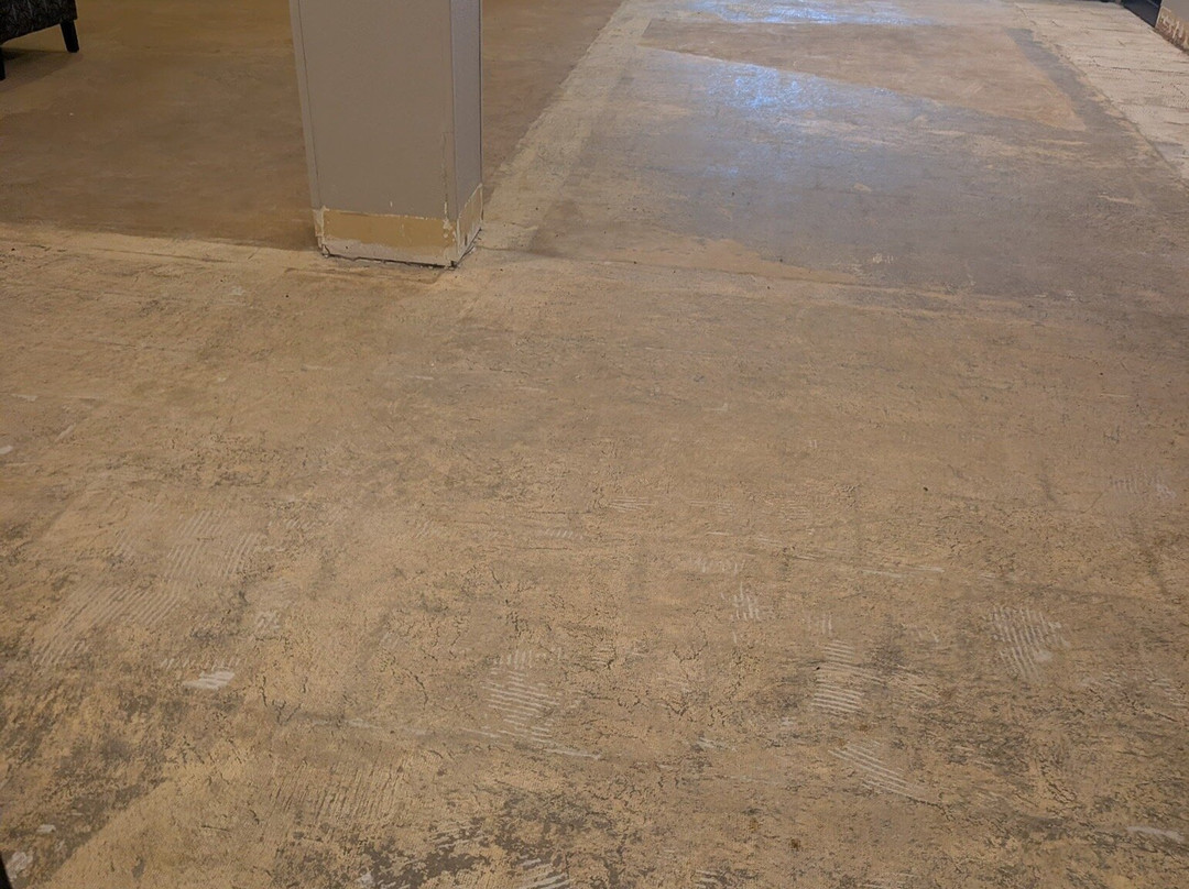 Best Western Baraboo Inn主图