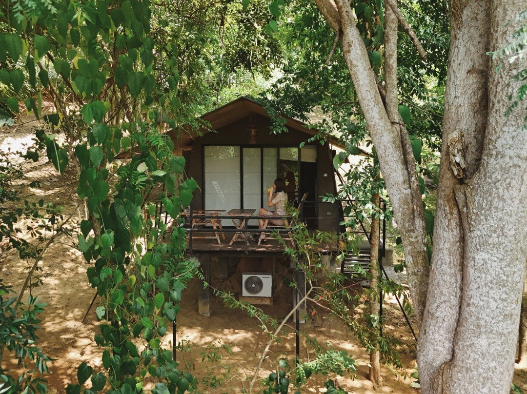 Ele Camp Udawalawa主图