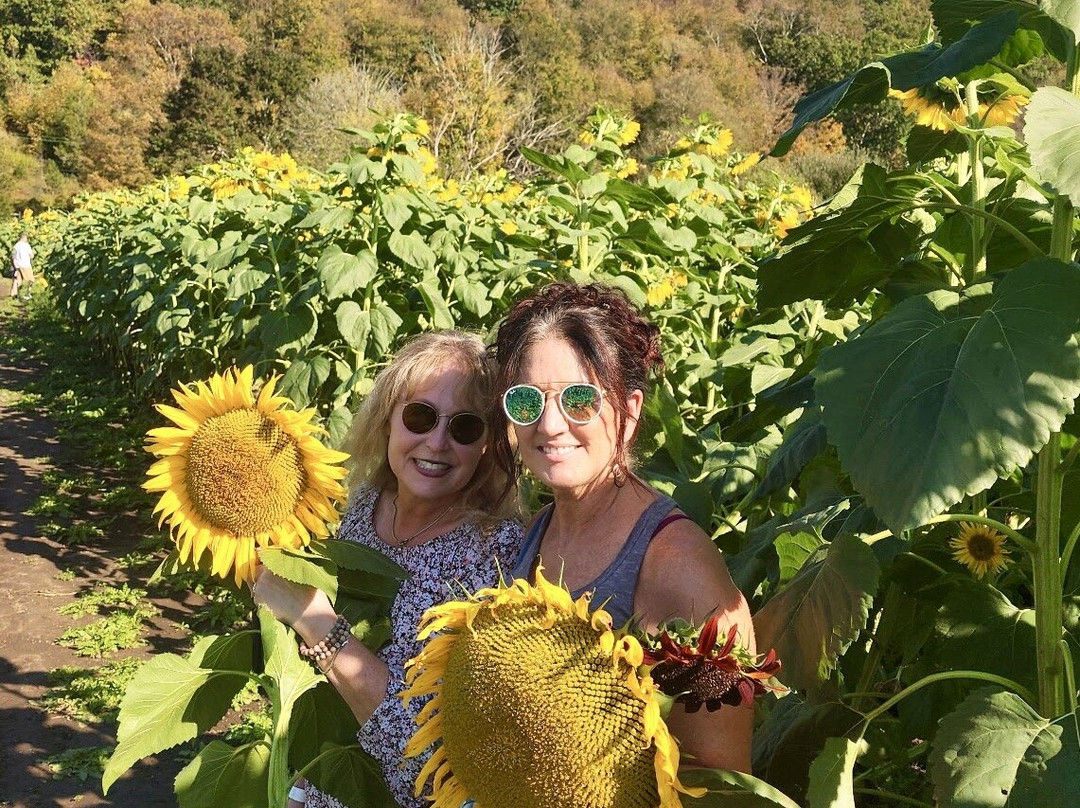 The Farm-Woodbury必去景点