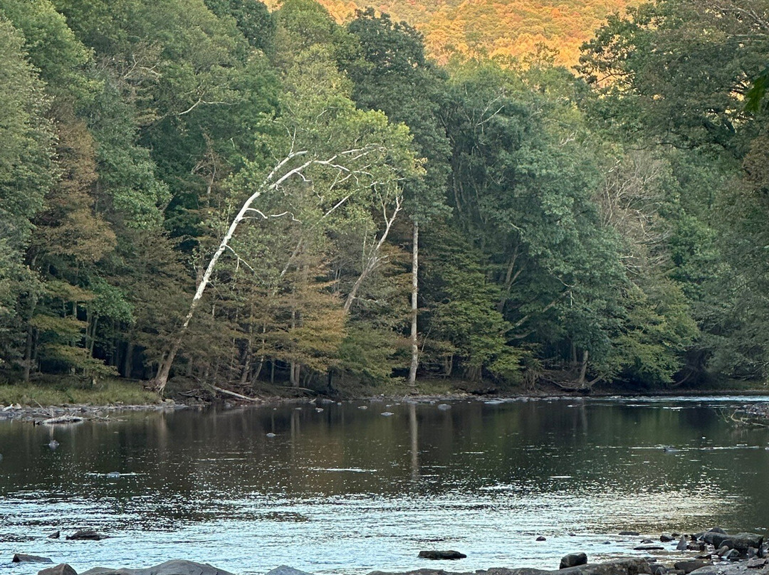Stuart Recreation Area-Elkins必去景点