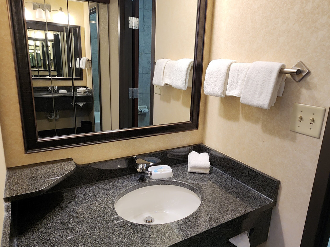 Drury Plaza Hotel St. Louis at the Arch主图