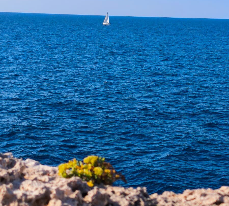 Hotel Fido Gardens主图