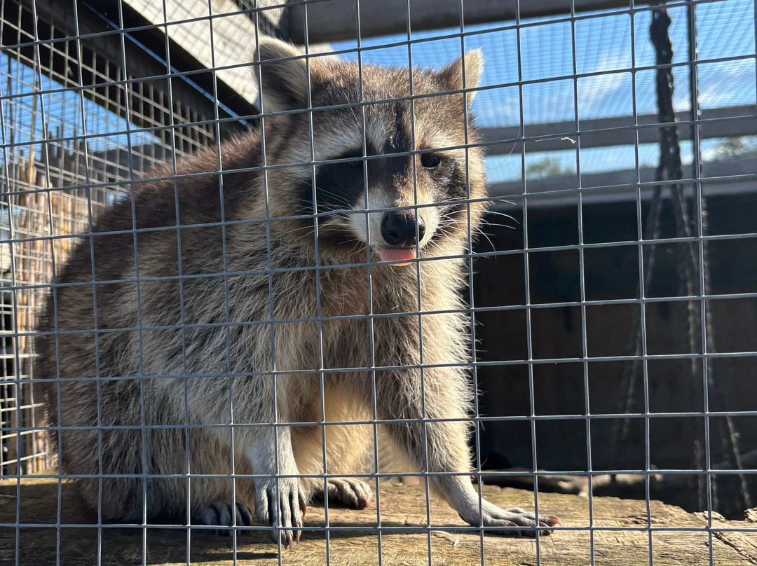 Chew Valley Animal Park-Chew Magna必去景点