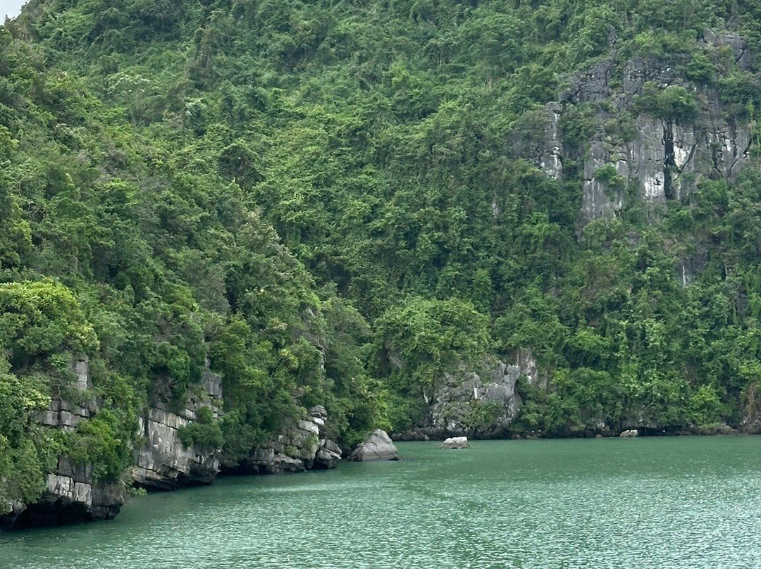 Halong Capella Cruise-海防必去景点