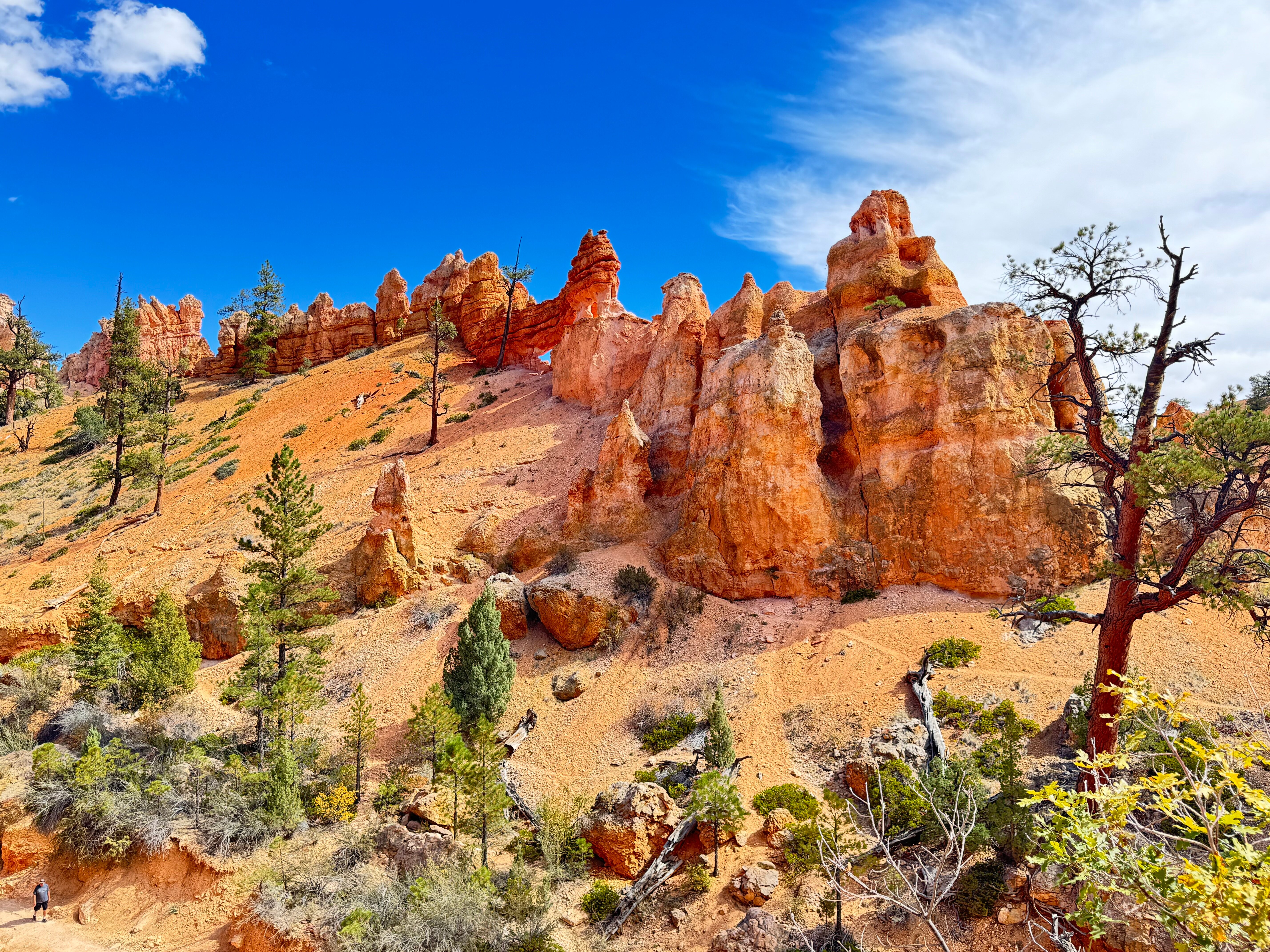 Canyon Country Lodge-官方