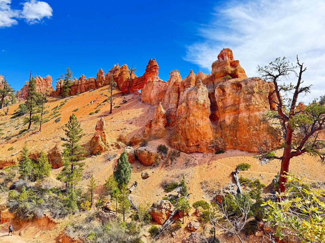 Canyon Country Lodge主图