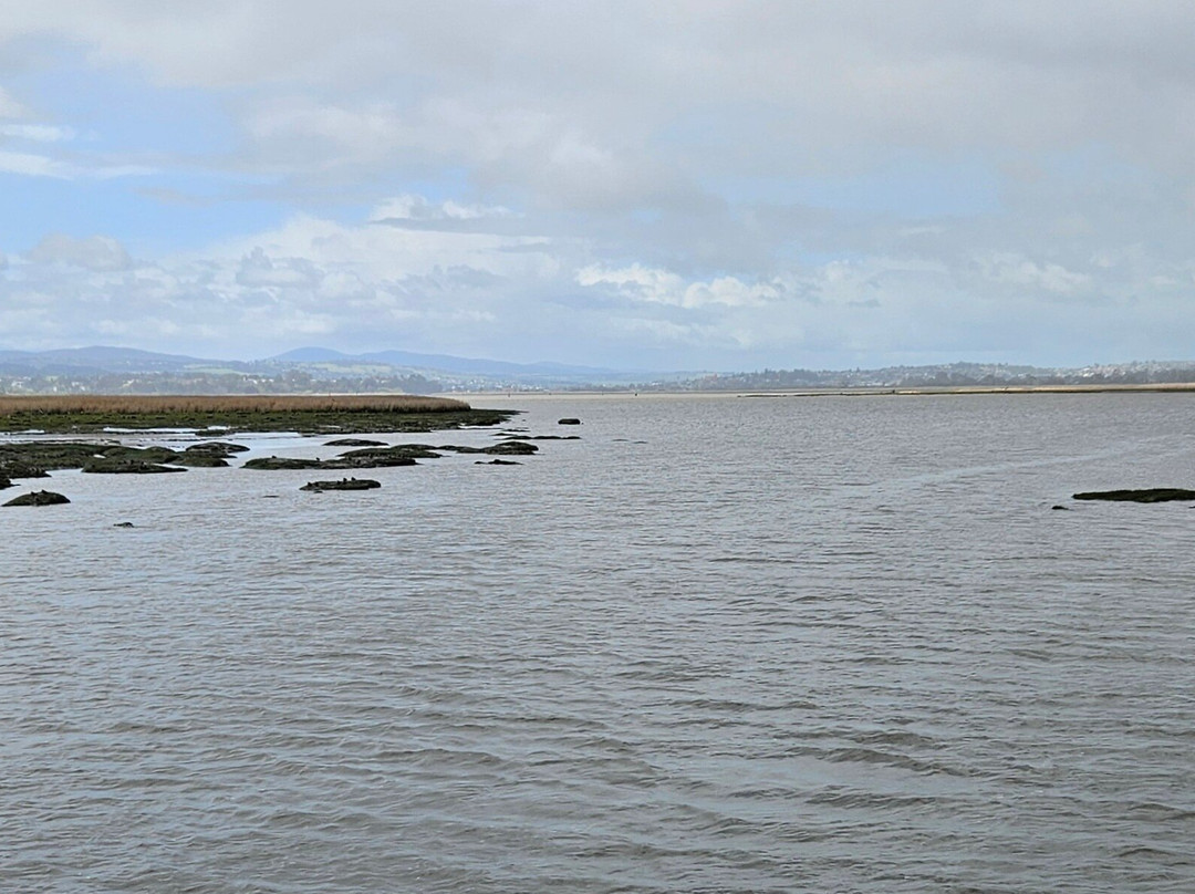 Tamar Island Wetlands-Riverside必去景点