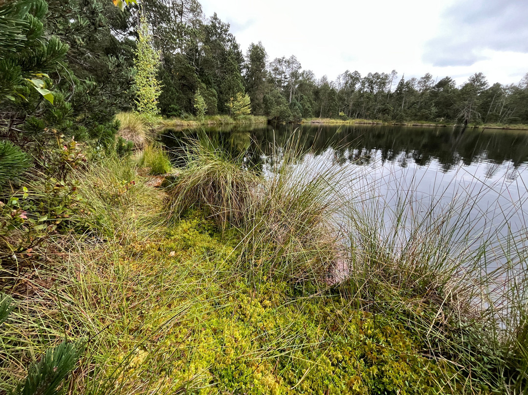 The nature trail. Rejvíz - Mechová jezírka-Zlate Hory必去景点