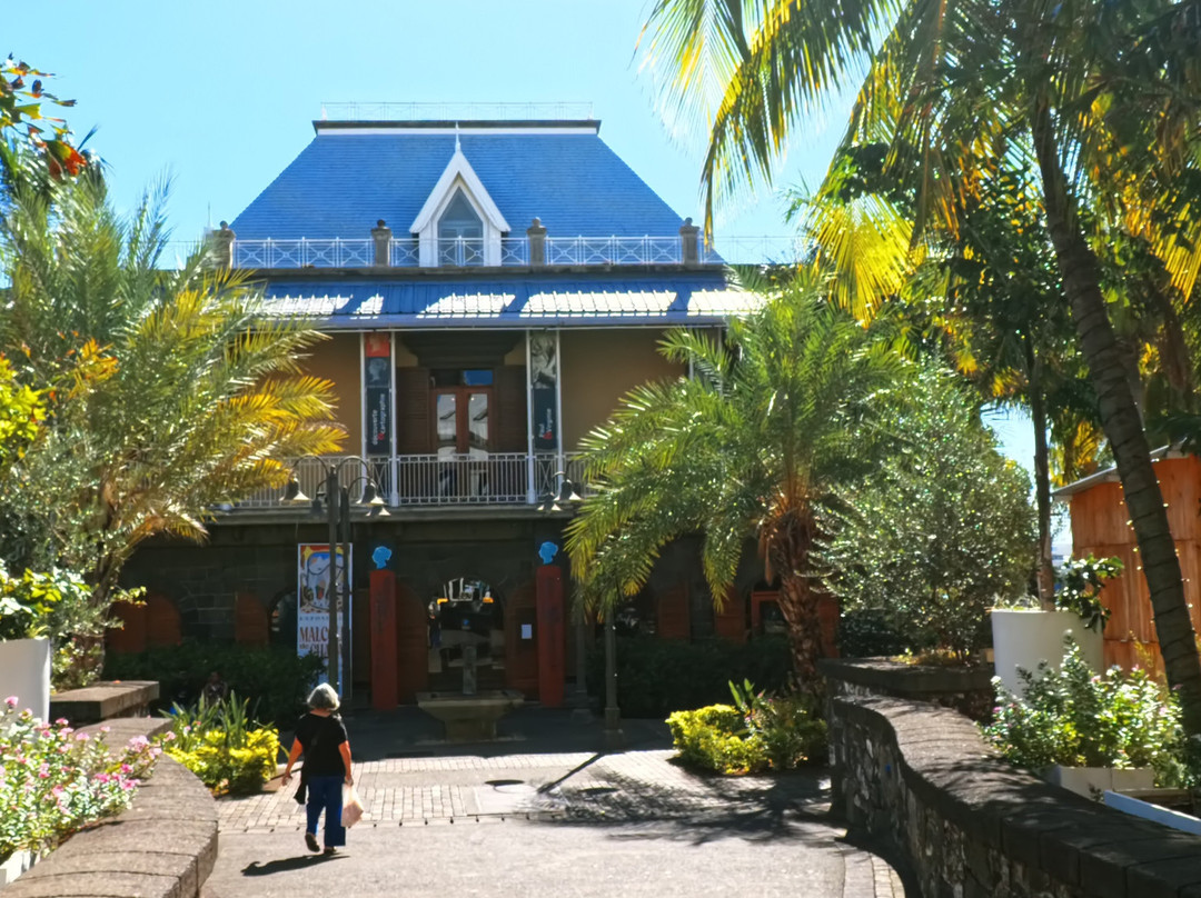 Blue Penny Museum-路易士港必去景点