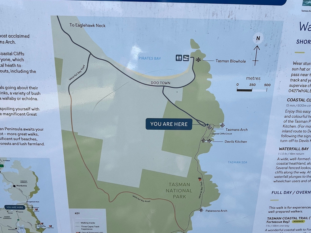 Tasman National Park-伊格尔霍克内克必去景点