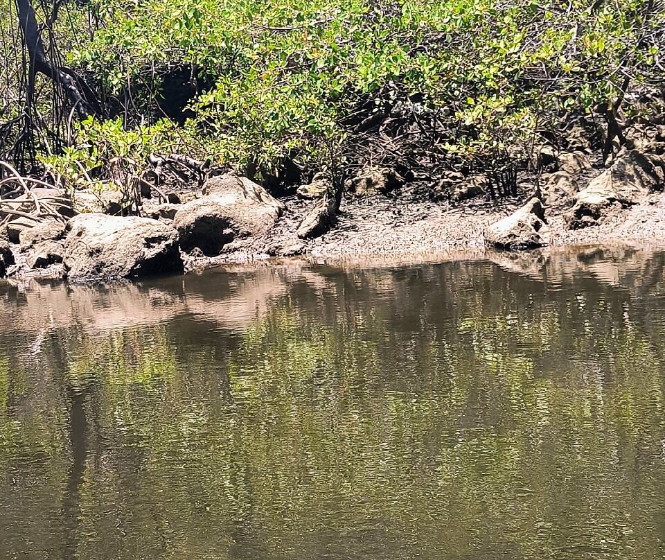 Foz do Rio Guaju-Baia Formosa必去景点