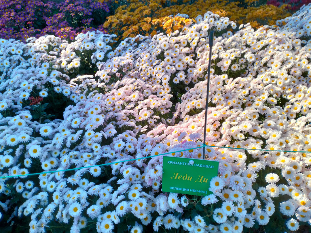 Nikita Botanical Gardens-Nikita必去景点